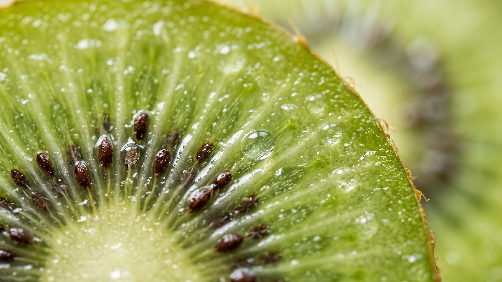 kiwifruit